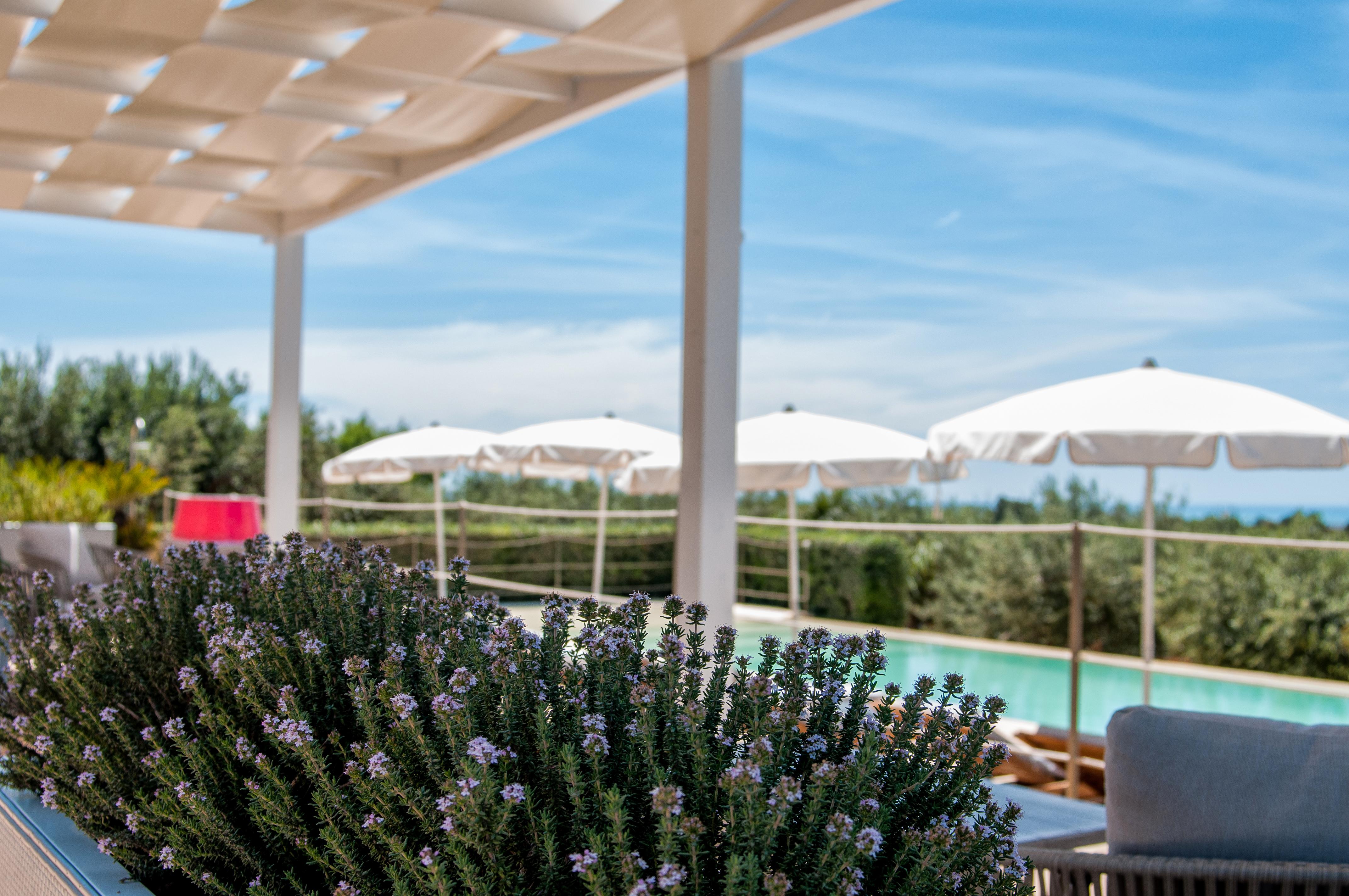 فندق Relais Casina Miregia مينفي المظهر الخارجي الصورة