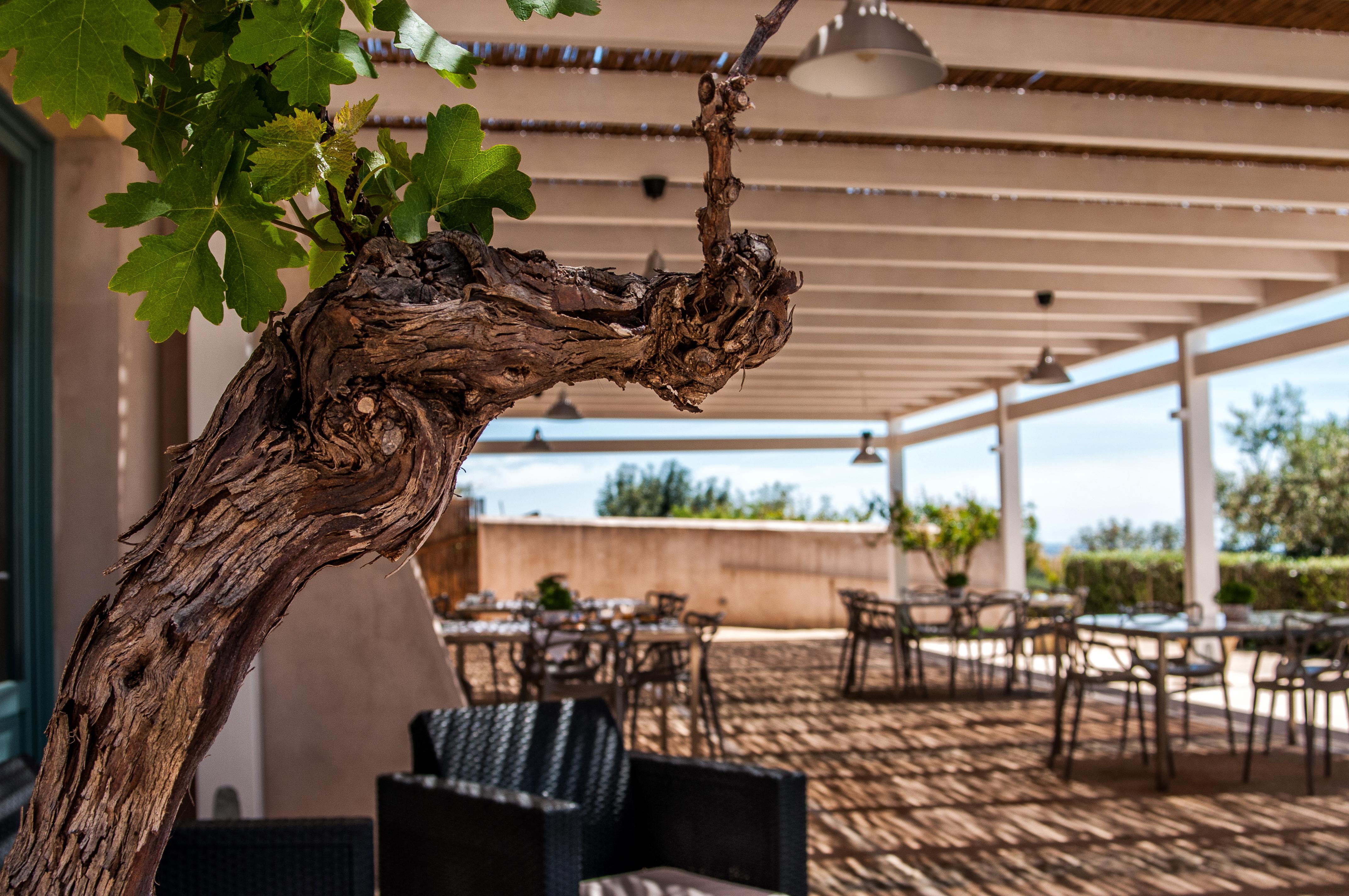فندق Relais Casina Miregia مينفي المظهر الخارجي الصورة