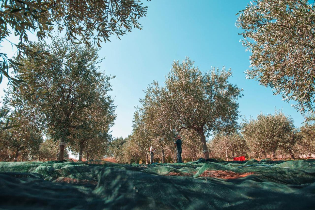 فندق Relais Casina Miregia مينفي المظهر الخارجي الصورة